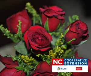 Rose Arrangement