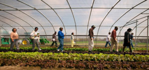 people inside a hoop house