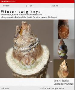 Screen Shot of digital winter key