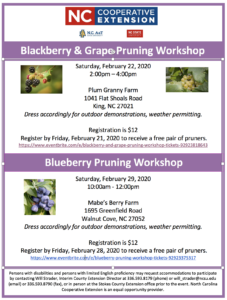 Cover photo for Small Fruit Pruning Workshops