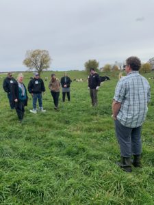 group on Dairy Farm