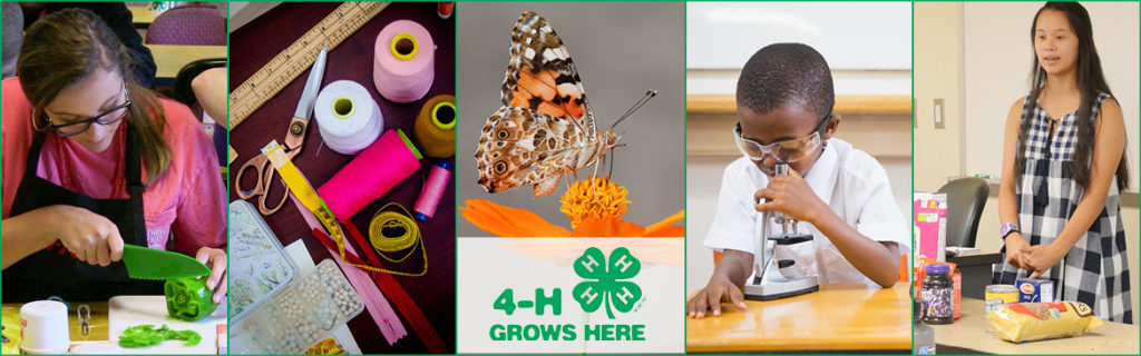 4-H activities banner