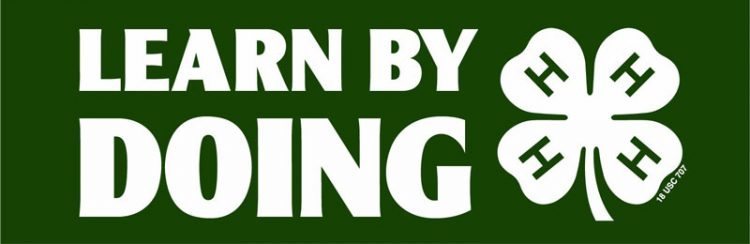 4-H Learn by Doing