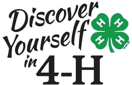 discover yourself in 4-h