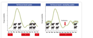 Cover photo for Increasing Number of Grazing Days During Winter by Using Stockpiled Tall Fescue