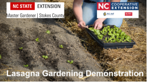 Lasagna Gardening Demonstration Pic