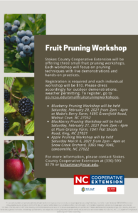 Cover photo for Small Fruit Pruning Workshops