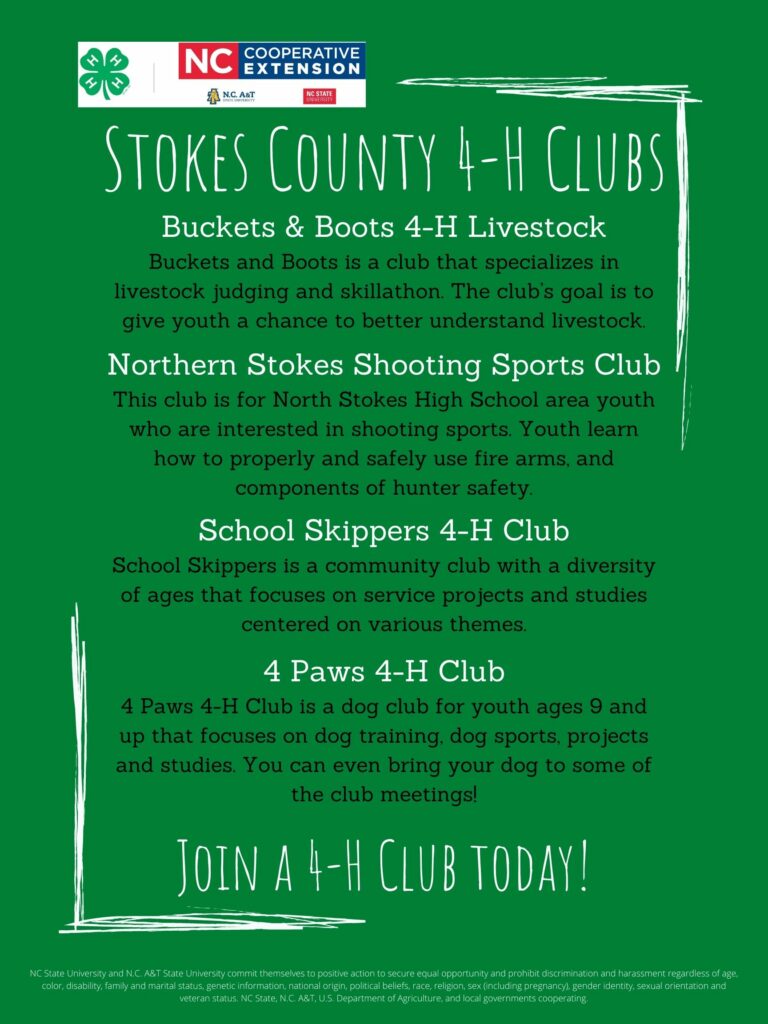 4 H Clubs In Stokes County North Carolina Cooperative Extension