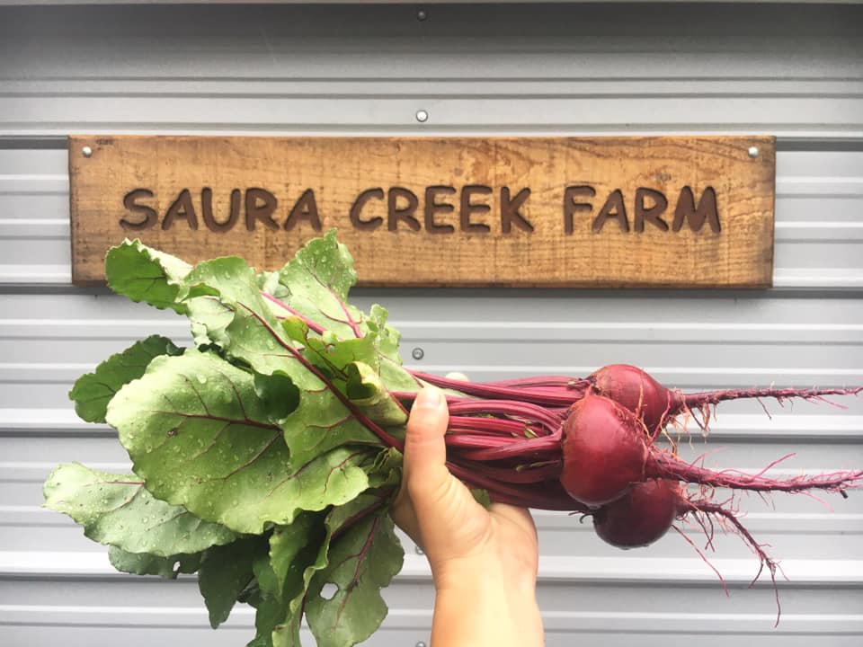Saura Creek Farm