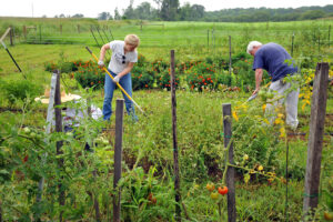 Garden volunteers