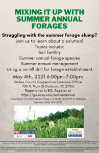 summer annual flyers