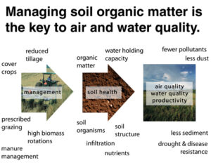 Soils