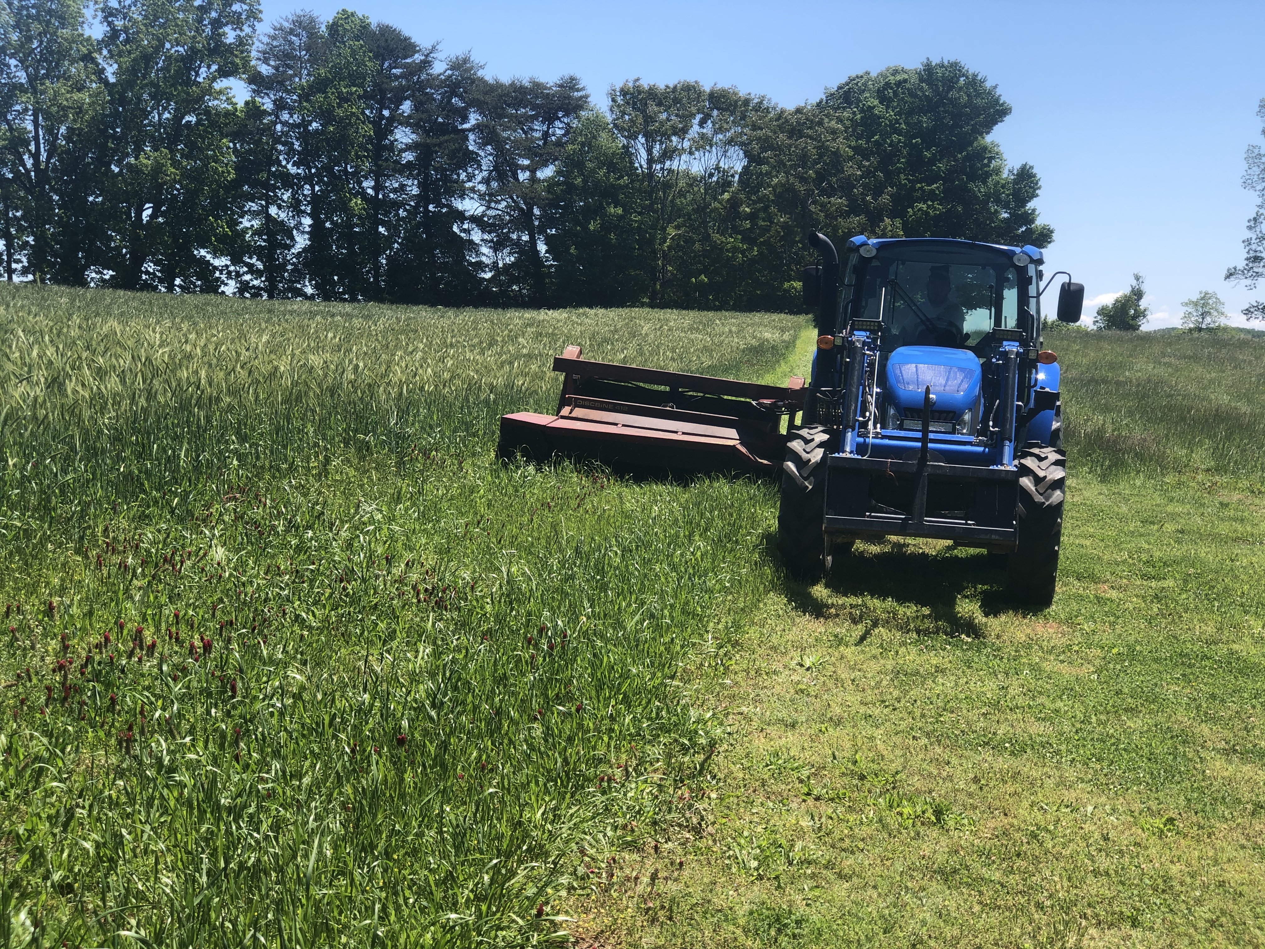 mowing hay