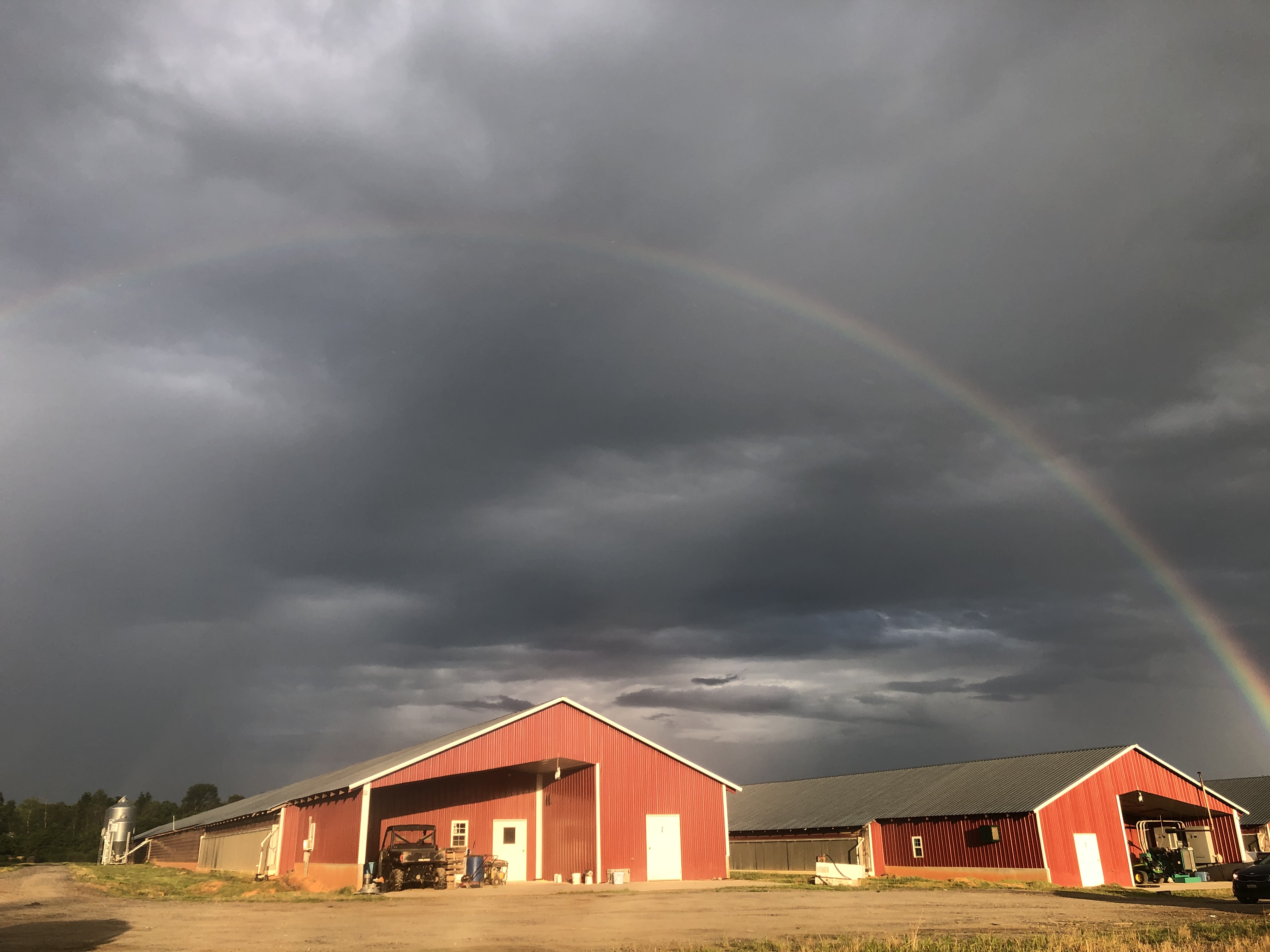 rainbow over poultry houses