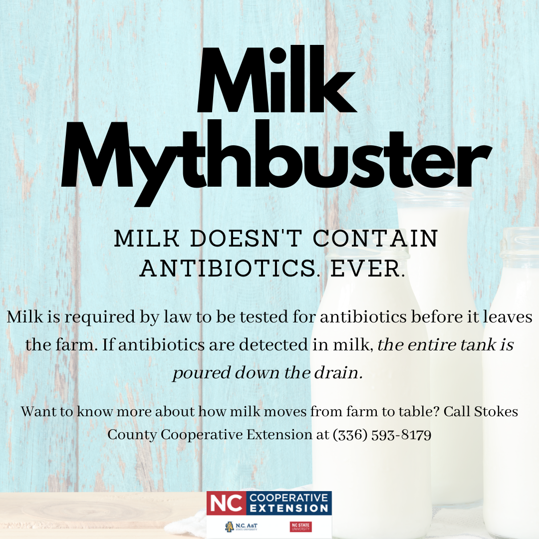 Antibiotics in the Dairy Industry: What You Need to Know