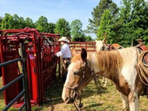 Cover photo for Friday Spotlight: B&B Farms