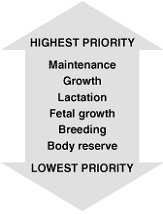 nutrient priority graphic