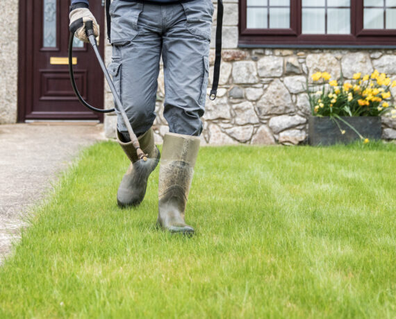 Person spraying pesticide