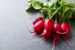 Cover photo for Growing Radishes