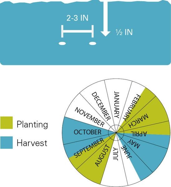 Planting chart