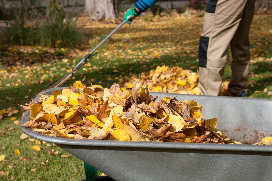 EZ Autumn Composting with Leaves! 