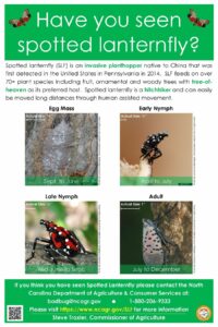 Cover photo for A Warning From the NC Dept. of Agriculture, Plant Industry Division - Spotted Lanternfly