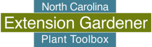 Cover photo for North Carolina Extension Gardener Plant Toolbox