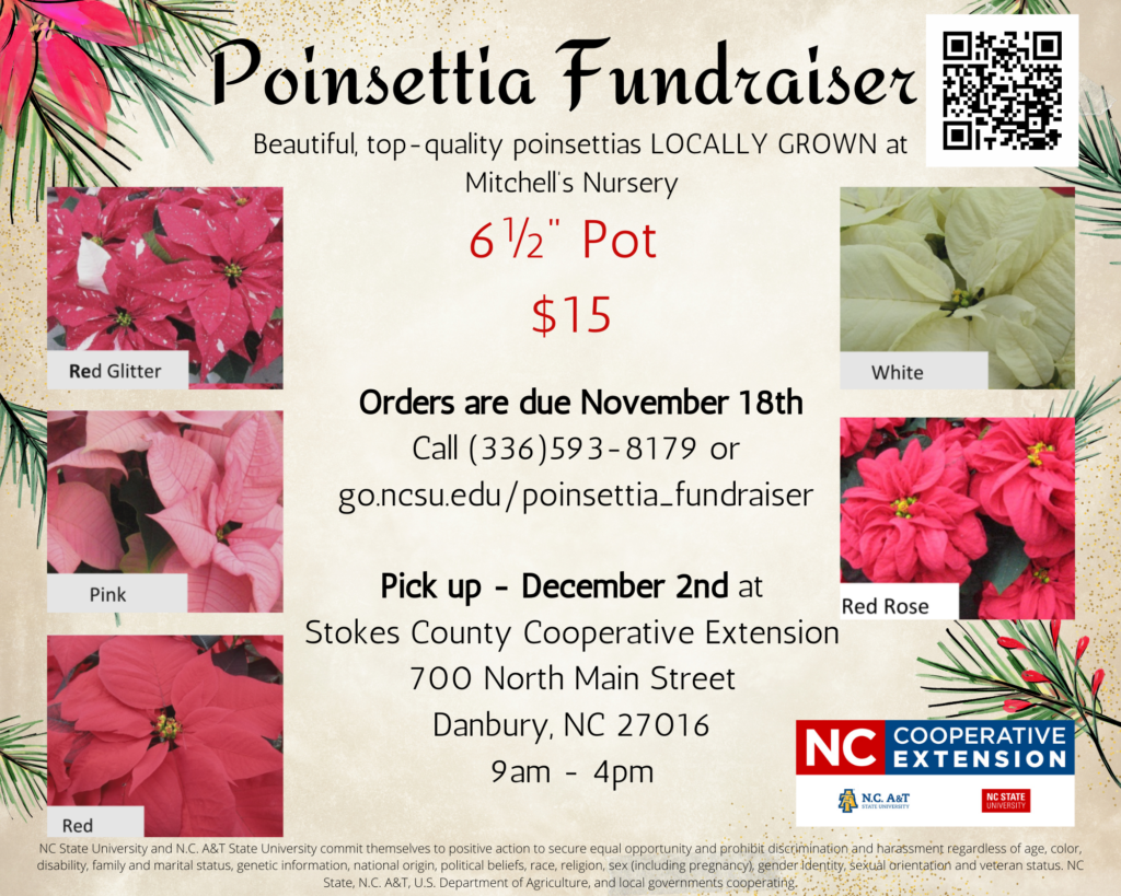 Poinsettia Care  N.C. Cooperative Extension