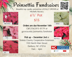 Cover photo for Poinsettia Fundraiser