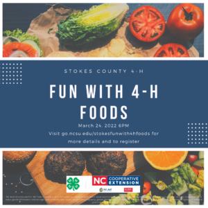 Fun with 4-H Foods flyer