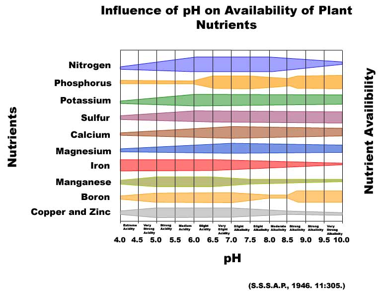 nutrient availability at different pHs
