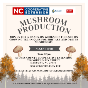 Cover photo for Mushroom Production