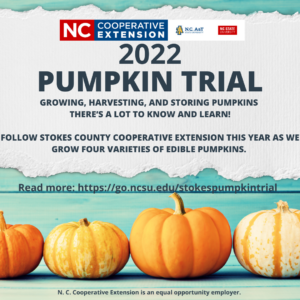 Cover photo for Stokes Pumpkin Trial