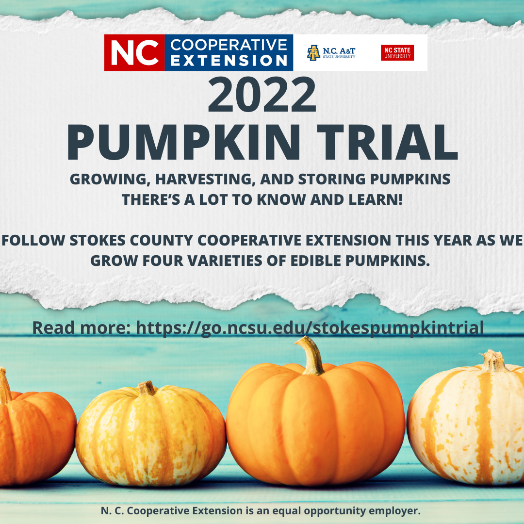 2022 Pumpkin Trial flier.
