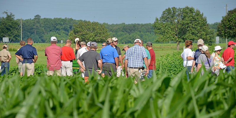 participants attending a field day