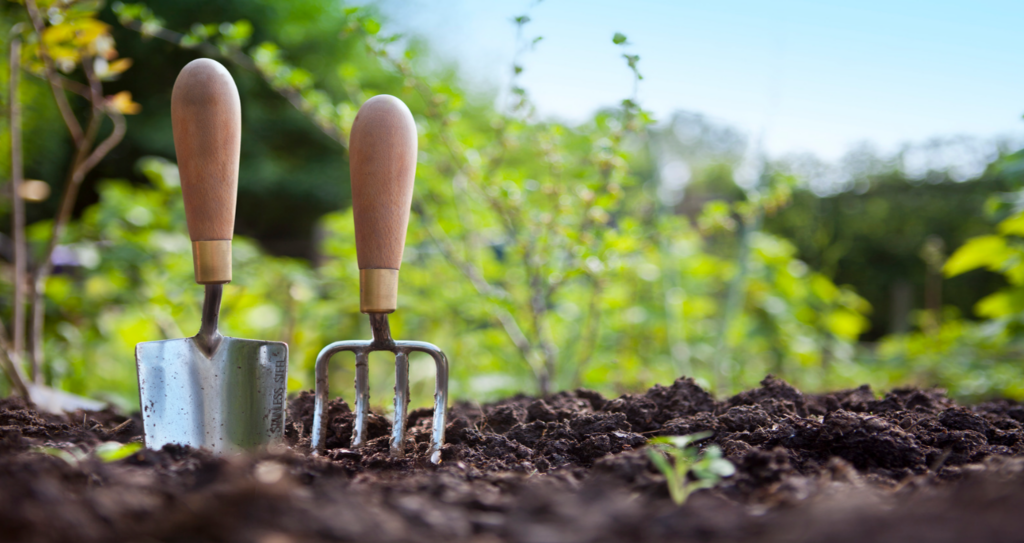 Tools in soil.