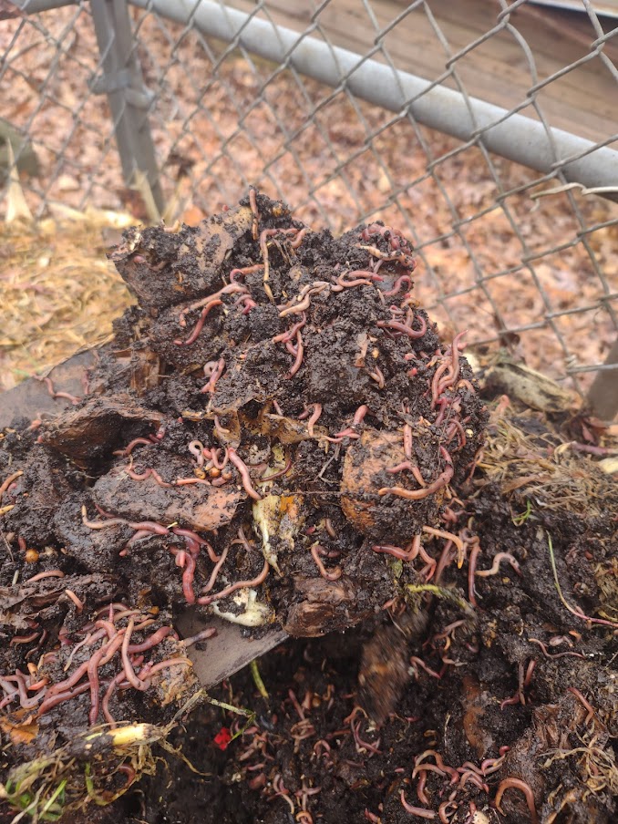 N.C. Cooperative Extension