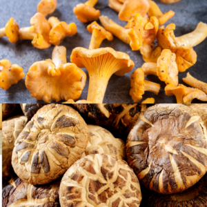 chanterelle and shiitake mushroom