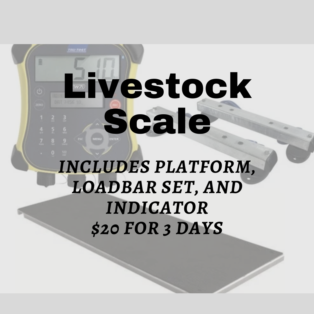 livestock scale flyer