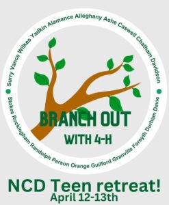 Cover photo for NCD 4-H Teen Retreat