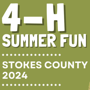 Cover photo for 2024 4-H Summer Fun
