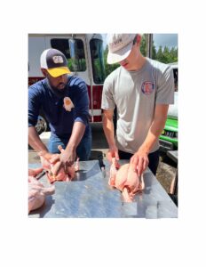 Photo of Chicken Processing