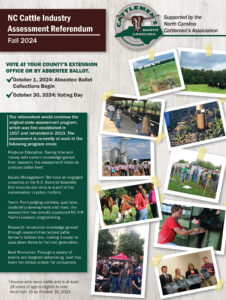 Cattle Referendum flyer