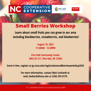 Cover photo for Small Berries Workshop
