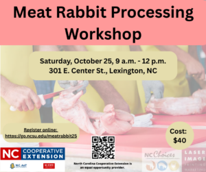 Cover photo for Rabbit Processing Workshop