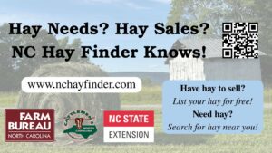 Cover photo for Making Hay Versus Buying Hay